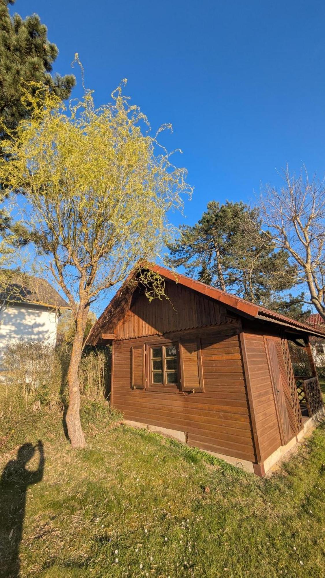 Landhotel Sonneneck - Breuna Im Naturpark Bagian luar foto