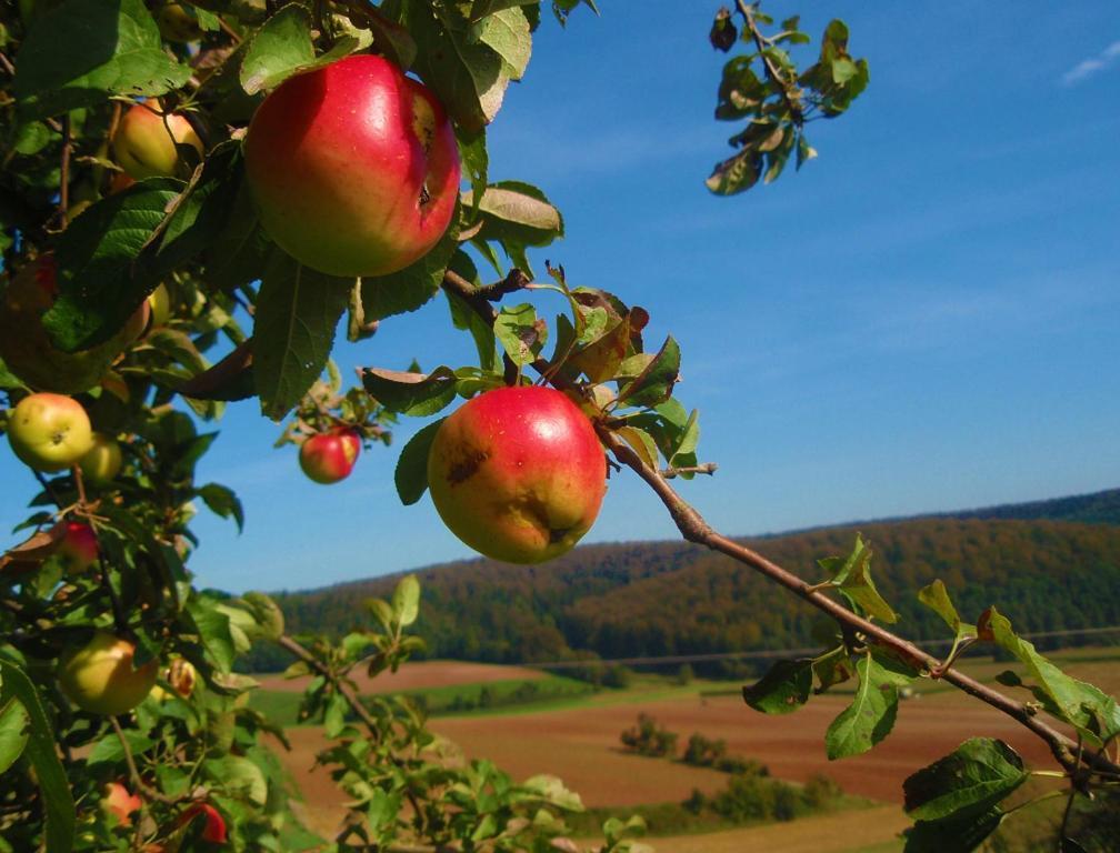 Landhotel Sonneneck - Breuna Im Naturpark Bagian luar foto